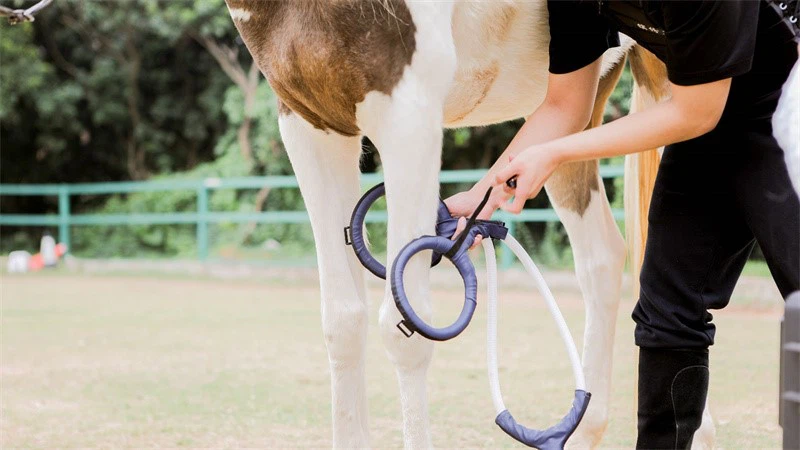 PMST therapy for pain PMST therapy for pain