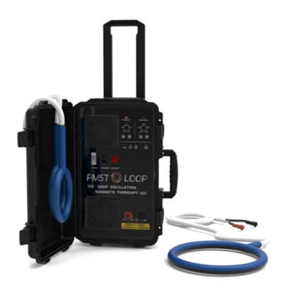 घोड़ों के लिए PEMF प्रशिक्षण